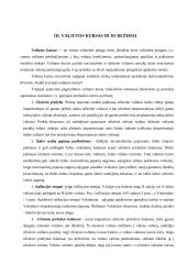 Valiutų kursų režimai 11 puslapis