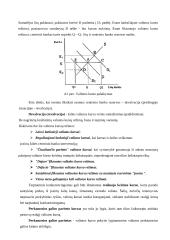 Valiutų kursų režimai 13 puslapis