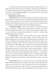 Valiutų kursų režimai 16 puslapis