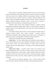 Valiutų kursų režimai 3 puslapis