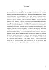 Valiutų rinka 2 puslapis