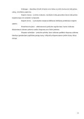 Valiutų rinka 13 puslapis