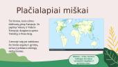 Geografinės zonos (Plačialapiai miškai) 2 puslapis