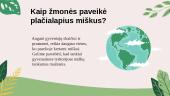 Geografinės zonos (Plačialapiai miškai) 8 puslapis