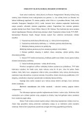 Valiutų rinka ir jos dinamika 13 puslapis