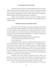 Valiutų rinka ir jos dinamika 16 puslapis