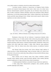 Valiutų rinka ir jos dinamika 20 puslapis
