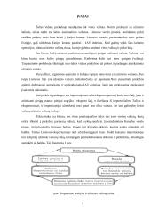 Valiutų rinka ir jos dinamika 3 puslapis