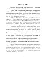 Valiutų rinka ir jos dinamika 6 puslapis