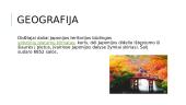 Japonija. Šalies pristatymas 2 puslapis