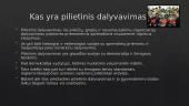 Pilietinio dalyvavimo būdai stiprinant demokratinę valstybę 2 puslapis