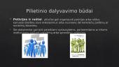 Pilietinio dalyvavimo būdai stiprinant demokratinę valstybę 6 puslapis