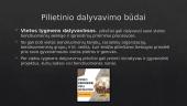 Pilietinio dalyvavimo būdai stiprinant demokratinę valstybę 9 puslapis