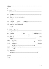 Valiutų rinkos ir valiutų kursas 2 puslapis