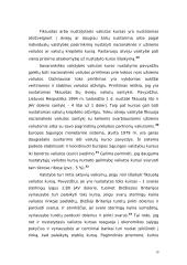 Valiutų rinkos ir valiutų kursas 11 puslapis