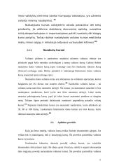 Valiutų rinkos ir valiutų kursas 12 puslapis