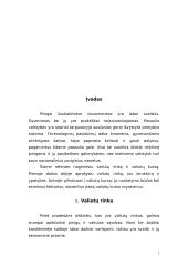 Valiutų rinkos ir valiutų kursas 3 puslapis