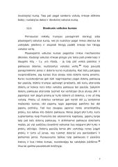 Valiutų rinkos ir valiutų kursas 9 puslapis