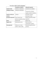 Valiutų rizikos valdymas naudojant forward sandorius 5 puslapis