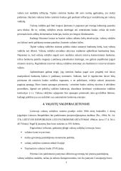 Valiutų valdybos modelis. Jo trūkumai ir privalumai 7 puslapis