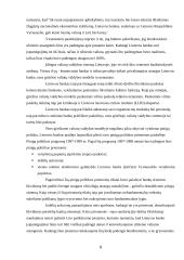 Valiutų valdybos modelis. Jo trūkumai ir privalumai 8 puslapis