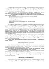 Valstybės valdymas ir politika 3 puslapis