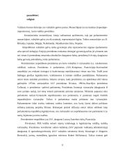 Valstybės sąvoka ir funkcijos 11 puslapis