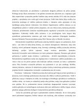 Valstybės sąvoka ir funkcijos 12 puslapis