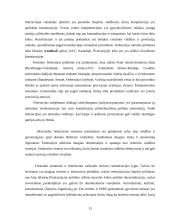 Valstybės sąvoka ir funkcijos 15 puslapis