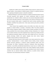 Valstybės sąvoka ir funkcijos 17 puslapis