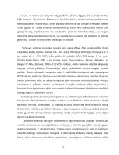 Valstybės sąvoka ir funkcijos 18 puslapis