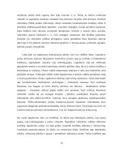 Valstybės sąvoka ir funkcijos 19 puslapis