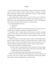 Valstybės sąvoka ir funkcijos 3 puslapis