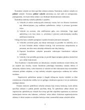 Valstybės sąvoka ir funkcijos 4 puslapis