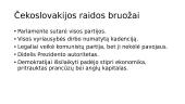 Demokratinė Europa. Prancūzijos ir Čekoslovakijos demokratijos raida 9 puslapis