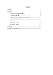 Valstybės apibūdinimas, jos modeliai bei požymiai 2 puslapis