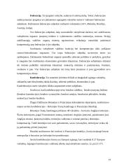 Valstybės apibūdinimas, jos modeliai bei požymiai 14 puslapis