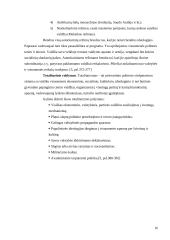 Valstybės apibūdinimas, jos modeliai bei požymiai 16 puslapis