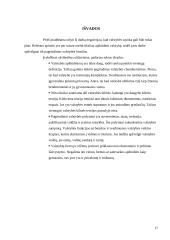 Valstybės apibūdinimas, jos modeliai bei požymiai 17 puslapis