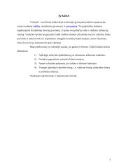 Valstybės apibūdinimas, jos modeliai bei požymiai 3 puslapis