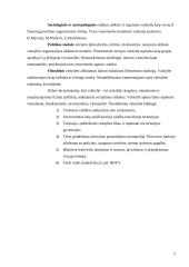 Valstybės apibūdinimas, jos modeliai bei požymiai 5 puslapis