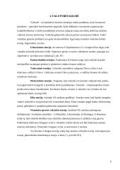 Valstybės apibūdinimas, jos modeliai bei požymiai 6 puslapis