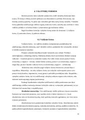 Valstybės apibūdinimas, jos modeliai bei požymiai 10 puslapis