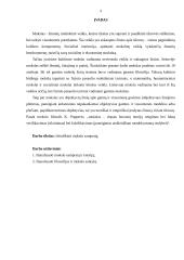 Mokslo samprata. Referatas 2 puslapis