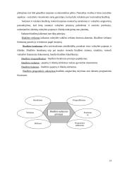 Valstybės biudžetas ir ﻿valstybės vaidmuo ekonomikoje 12 puslapis