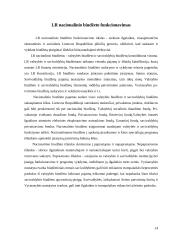 Valstybės biudžetas ir ﻿valstybės vaidmuo ekonomikoje 13 puslapis