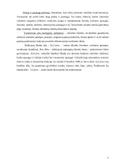 Valstybės biudžetas ir ﻿valstybės vaidmuo ekonomikoje 4 puslapis