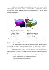 Valstybės biudžeto asignavimai pagal vykdomas funkcijas 11 puslapis