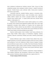 Lietuvos Respublikos biudžeto formavimo ypatumai 13 puslapis