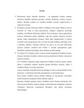 Lietuvos Respublikos biudžeto formavimo ypatumai 16 puslapis